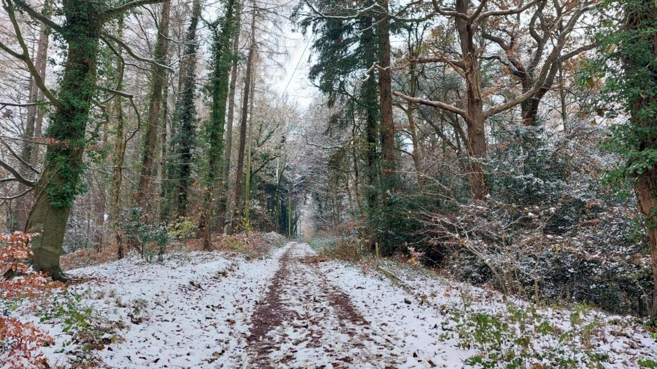 The Beehive - Self Catering In The Heart Of The Forest Of Dean Whitecroft Экстерьер фото